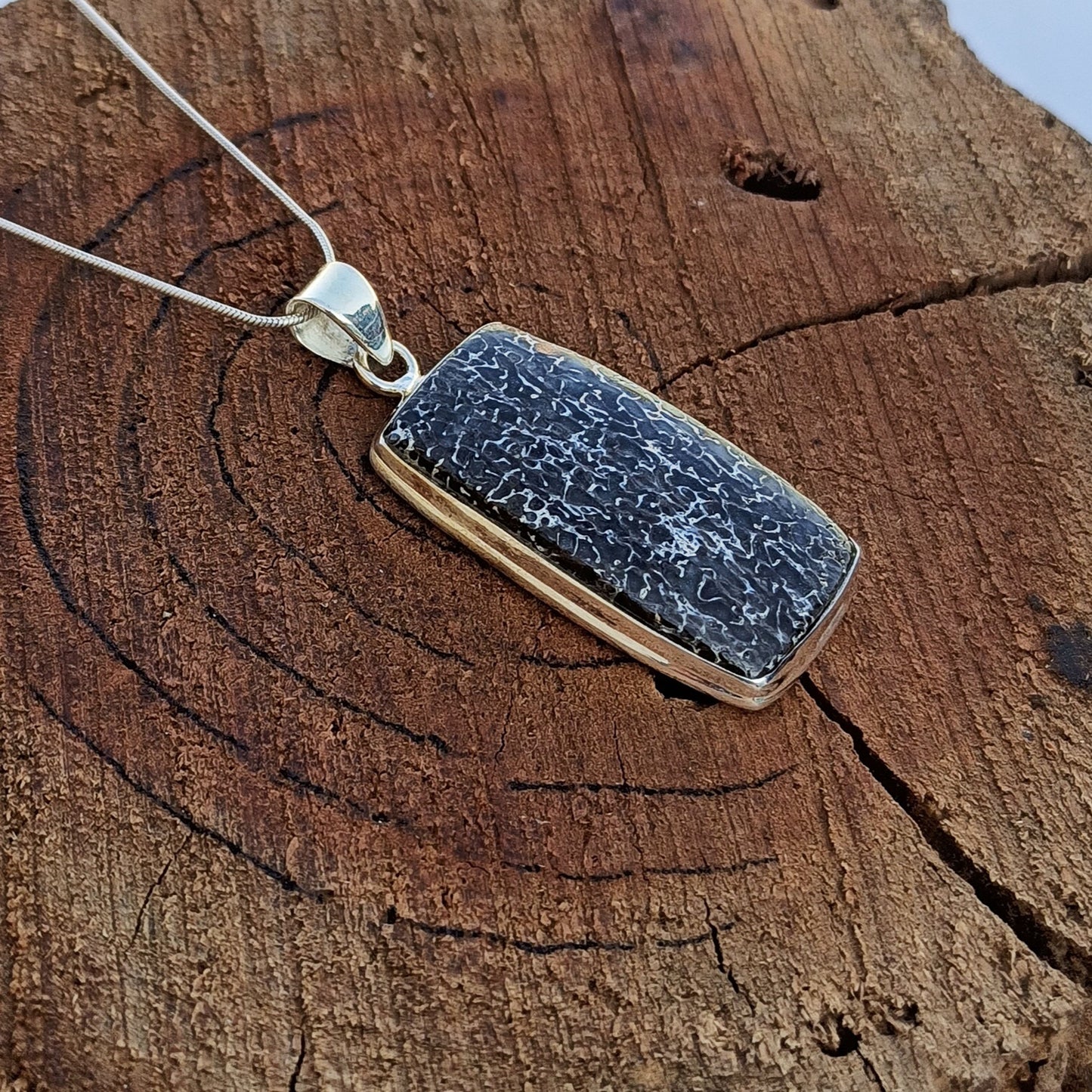 Dinosaur Bone Sterling Silver Pendant Unique Fossil Jewelry