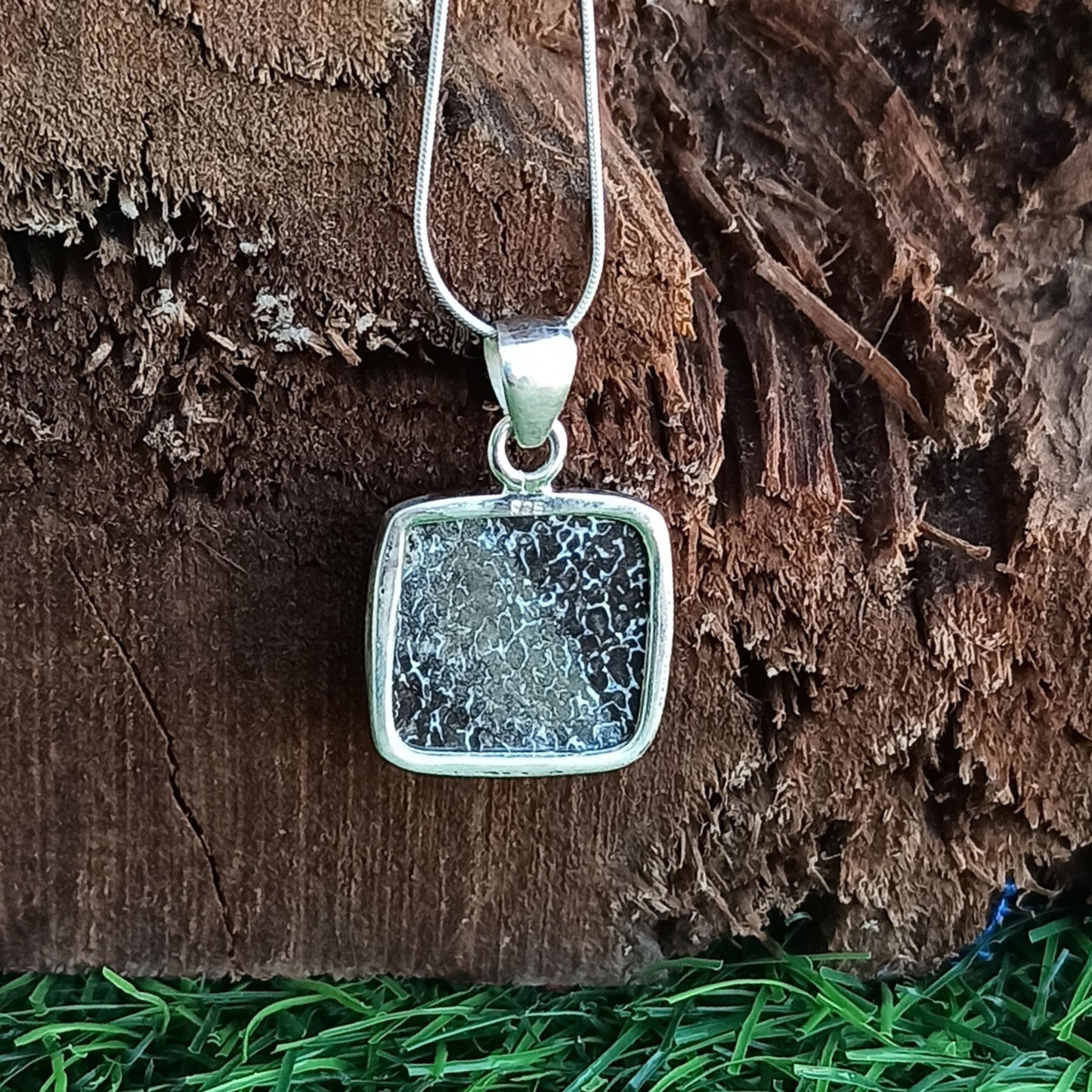 Dinosaur Bone Silver Pendant