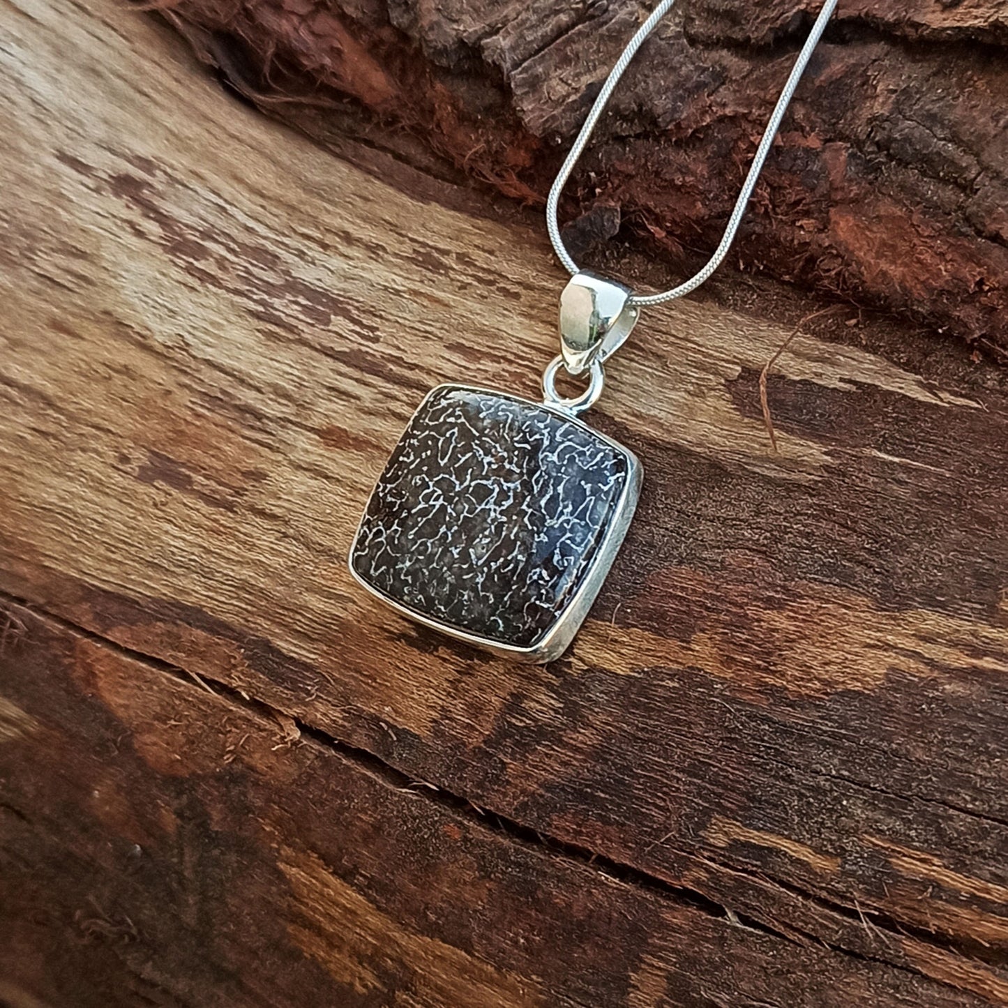 Dinosaur Bone Silver Pendant