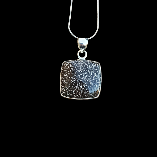 Dinosaur Bone Silver Pendant