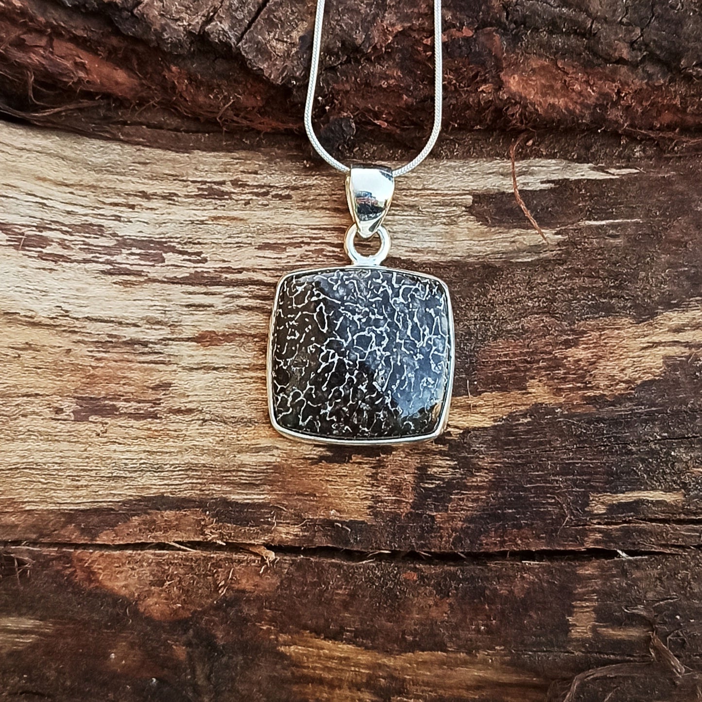 Dinosaur Bone Silver Pendant