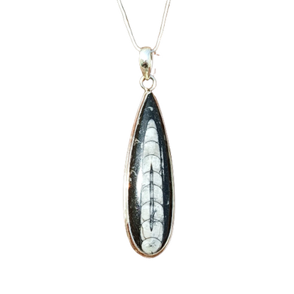 Silver Pendant - Orthoceras Cabochon - 925 Sterling Silver Pendant - 92.5 Statement Pendant - Handmade Pendant- Pear Pendant - 40Ct